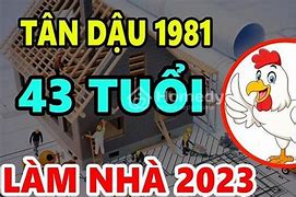 1981 Xây Nhà Năm 2024