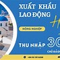 Công Ty Xklđ Vinacom 360 Lừa Đảo Không Review