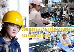 Xklđ Đài Loan Cho Nữ